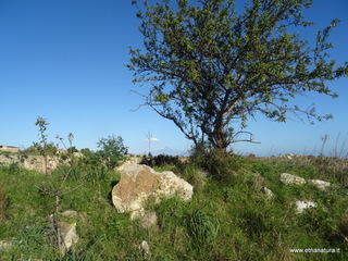 traro-30-12-2021 10-32-39